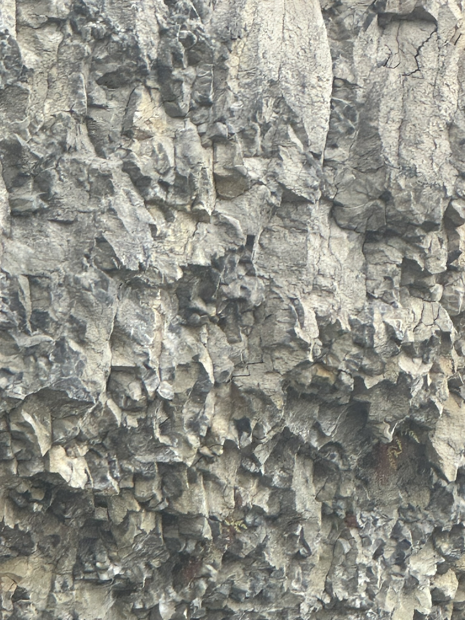 Yellowstone And Grand Teton National Parks - Image 796